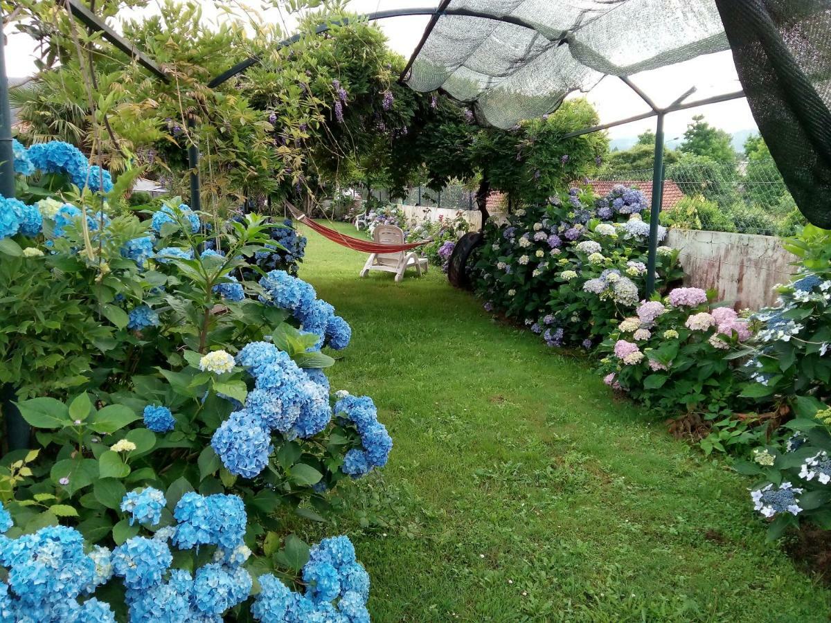 Quinta Da Ribeirinha Lejlighed Arouca Eksteriør billede